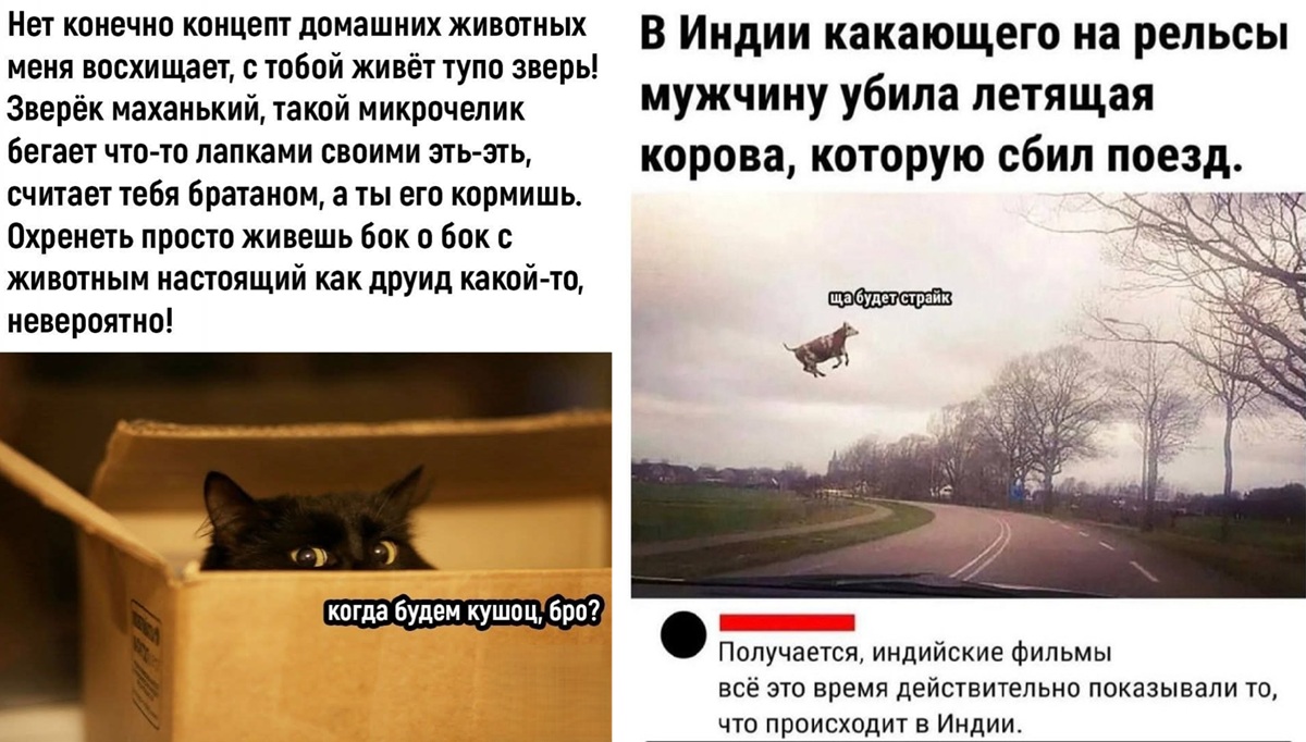 Доброе утро! Время для порции свежего юмора! 🚀