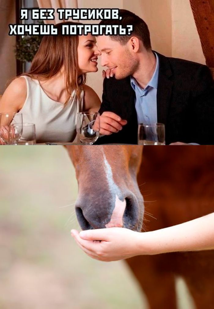 Свежие шутки, мемы и картинки – для вашего отличного настроения! 😄